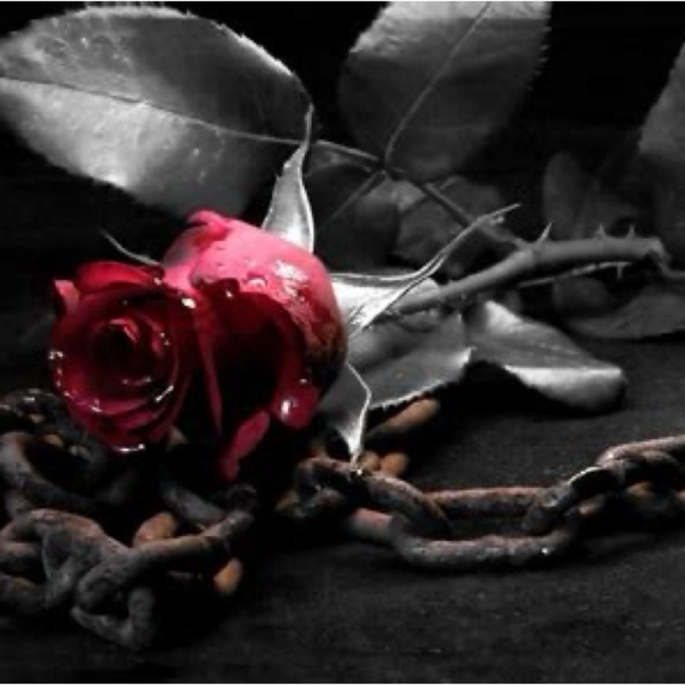 For kristycrawford
